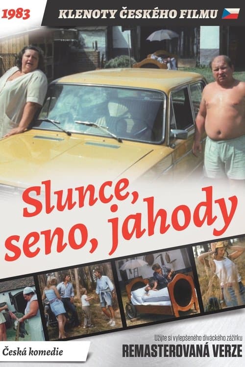 Slunce, seno, jahodyのポスター