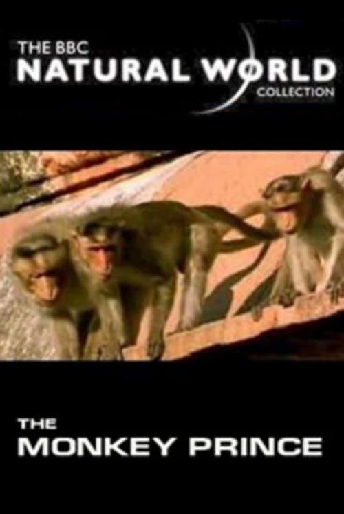 The Monkey Princeのポスター