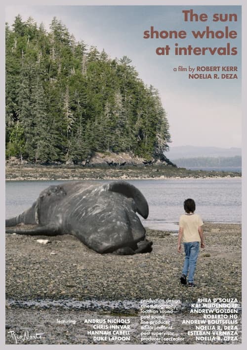 The Sun Shone Whole at Intervalsのポスター