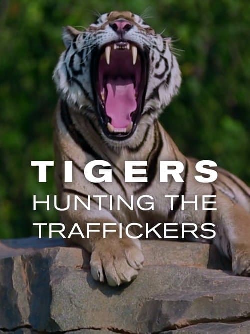 Tigers: Hunting the Traffickersのポスター
