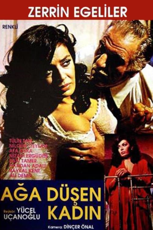 Ağa Düşen Kadınのポスター
