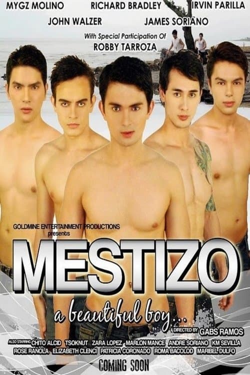 Mestizo: A Beautiful Boyのポスター