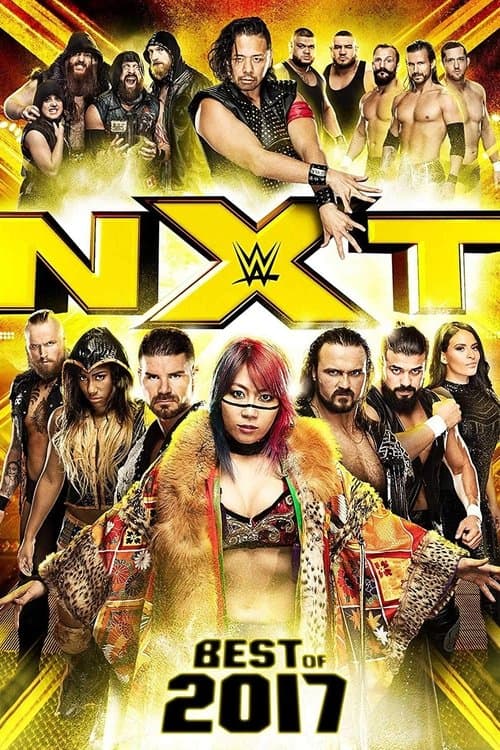 NXT: Best of 2017のポスター