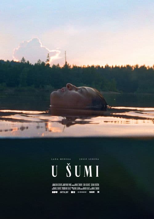 U šumiのポスター