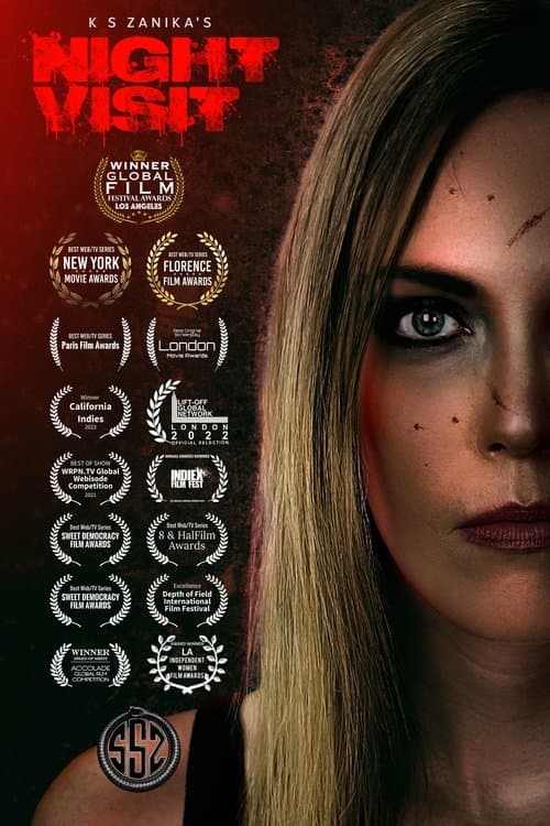 Night Visitのポスター