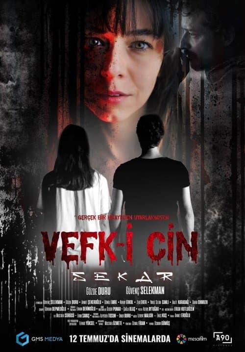 Vefk-i Cin Sekarのポスター