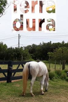 Ferraduraのポスター