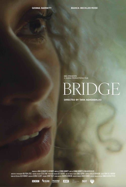 Bridgeのポスター