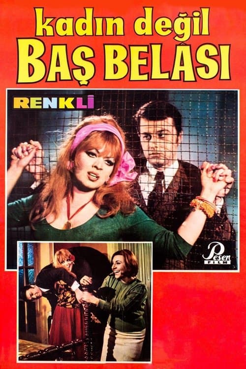 Kadın Değil Baş Belasıのポスター