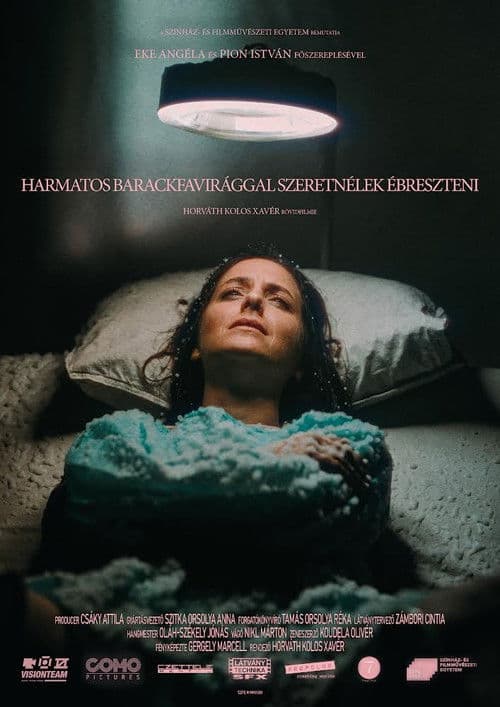 waking you with dewy peach blossomsのポスター