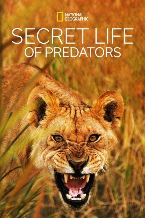 Secret Life of Predatorsのポスター
