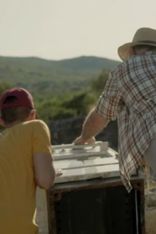 Tuđa poslaのポスター