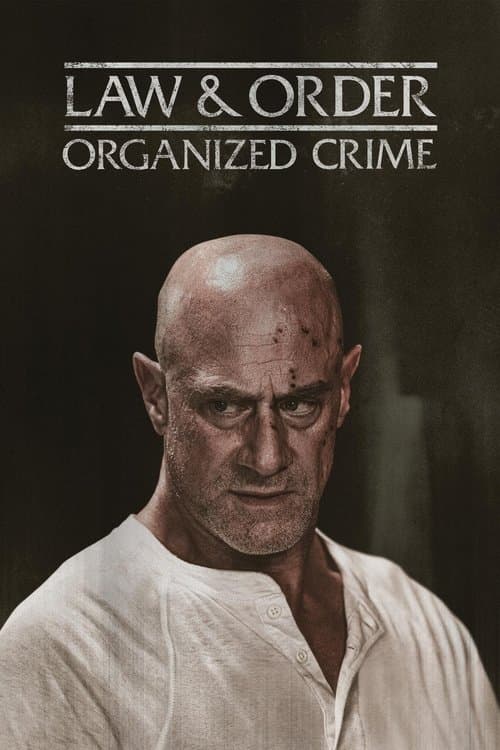 Law & Order: Organized Crimeのポスター