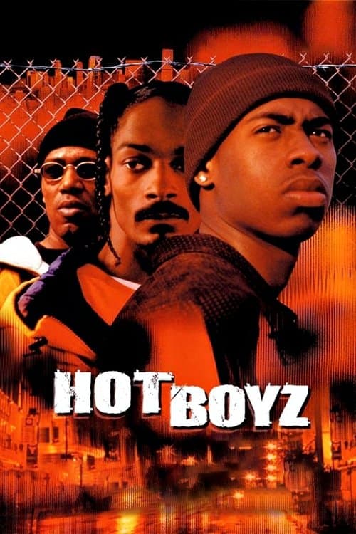 Hot Boyzのポスター