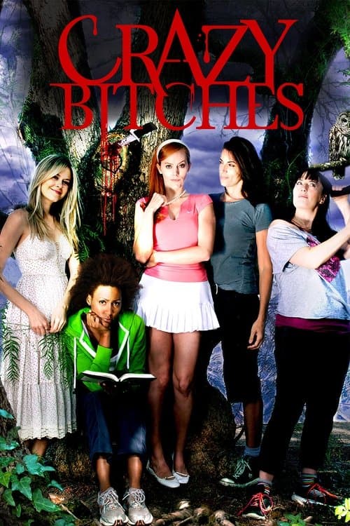 Crazy Bitchesのポスター