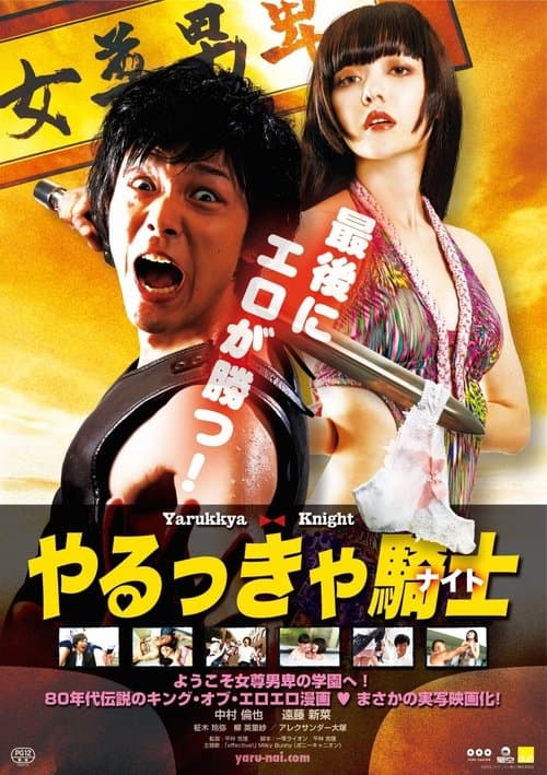やるっきゃ騎士のポスター