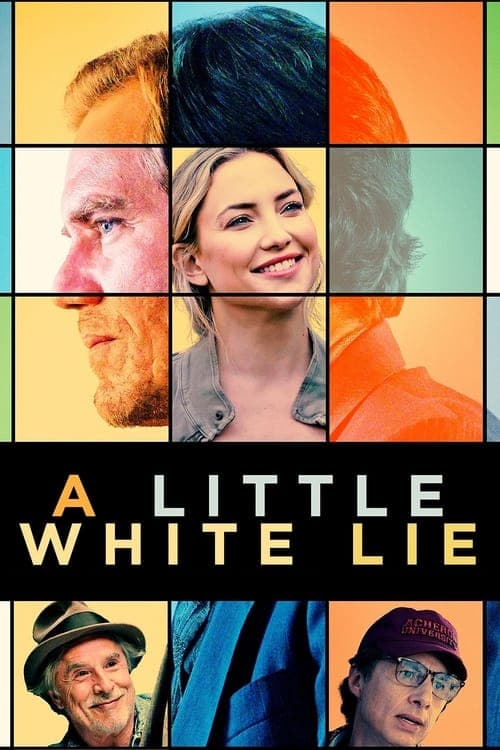 A Little White Lieのポスター
