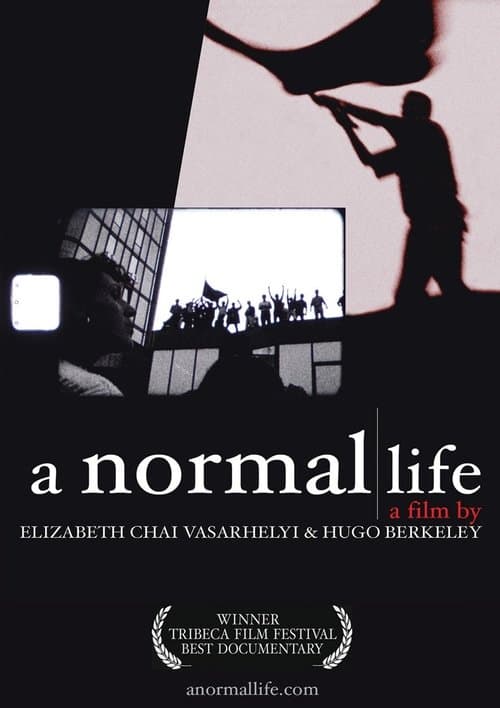 A Normal Lifeのポスター