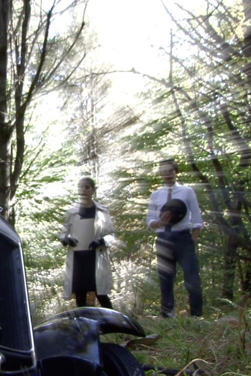 In the Hours of Darknessのポスター