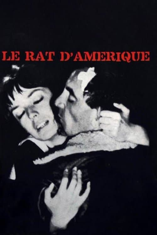 Le Rat d'Amériqueのポスター