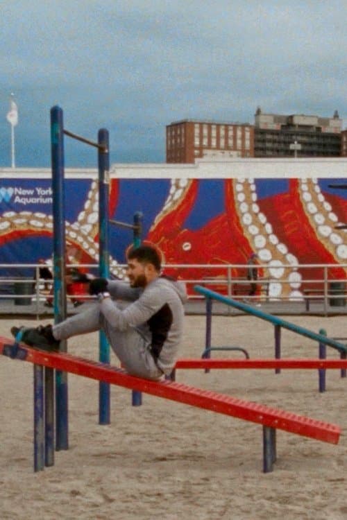 Heptapusのポスター