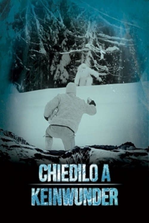 Chiedilo a Keinwunderのポスター
