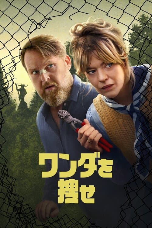 ワンダを捜せのポスター