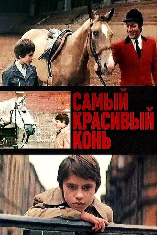 Самый красивый коньのポスター