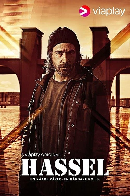 Hasselのポスター