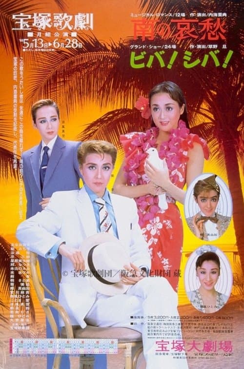 南の哀愁のポスター