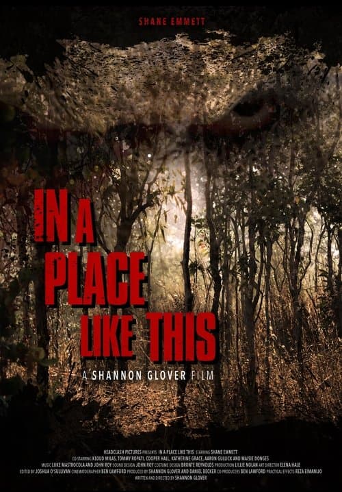 In A Place Like Thisのポスター