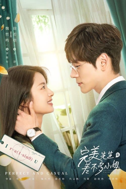 完美先生和差不多小姐のポスター