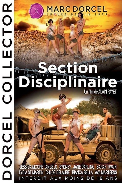 Section disciplinaireのポスター