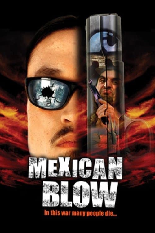 Mexican Blowのポスター