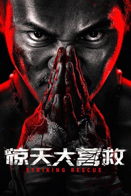 惊天大营救のポスター