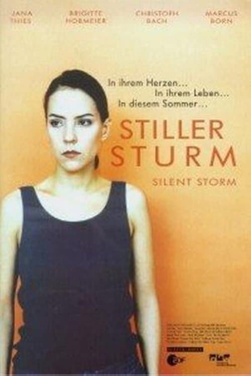 Stiller Sturmのポスター