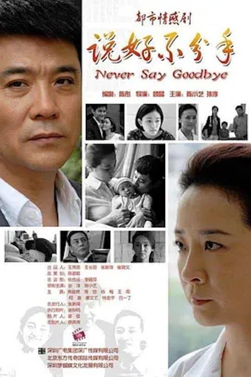 说好不分手のポスター