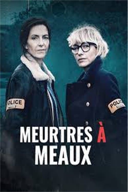 Meurtres à Meauxのポスター