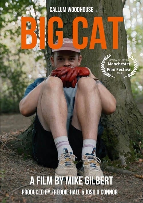 Big Catのポスター