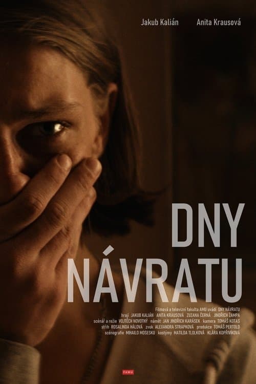 Dny návratuのポスター