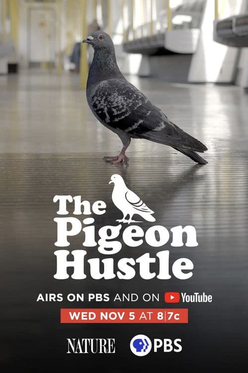 The Pigeon Hustleのポスター