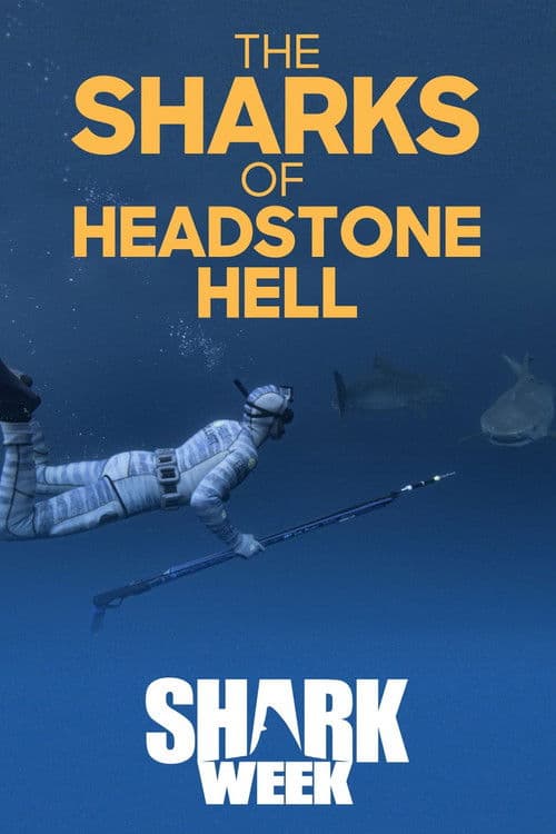 The Sharks Of Headstone Hellのポスター