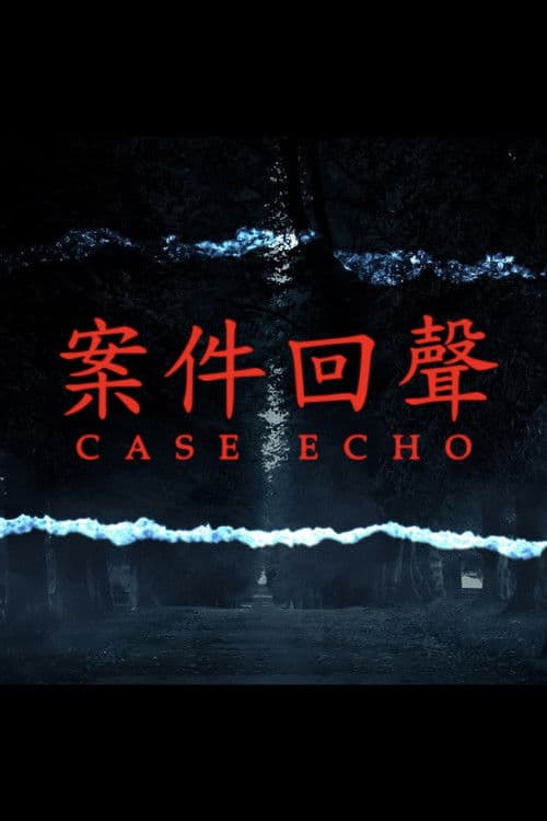 案件回聲のポスター