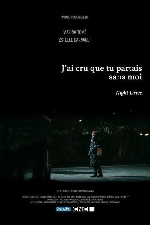 J'ai cru que tu partais sans moiのポスター