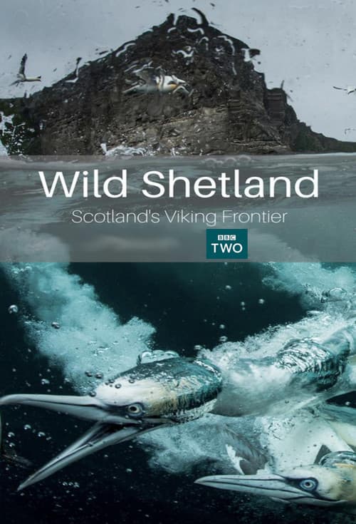 Wild Shetland: Scotland's Viking Frontierのポスター