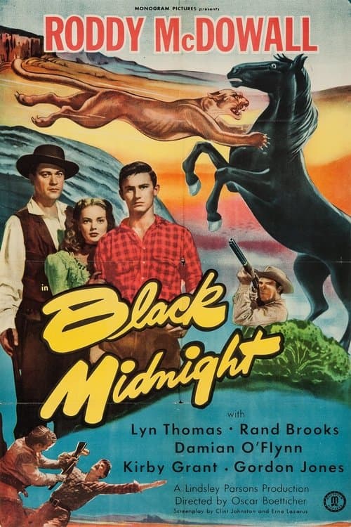 Black Midnightのポスター