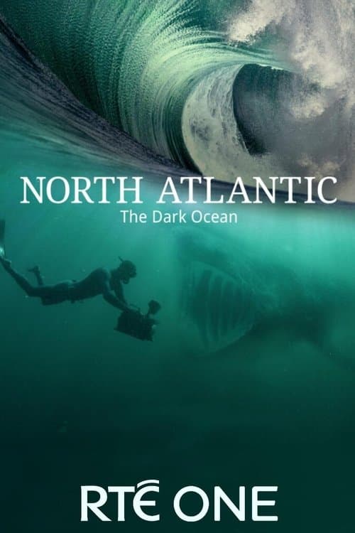 North Atlantic: The Dark Oceanのポスター