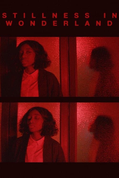 STILLNESS IN WONDERLAND: THE FILMのポスター
