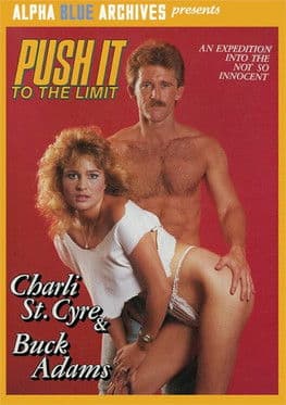 Push It To the Limitのポスター