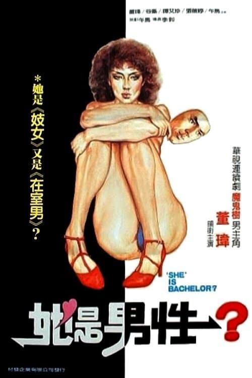 失声画眉のポスター